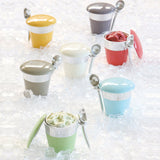 Pint Ice Cream Server Set - Sale