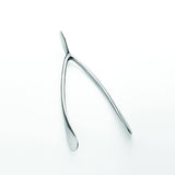 Wishbone
