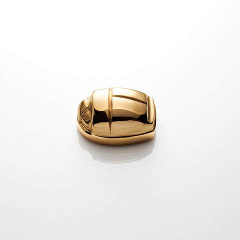 Scarab Symbol