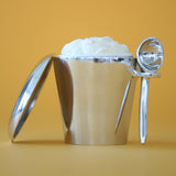 Pint Ice Cream Server Set